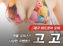 오피스타 | [대구오피-고고]