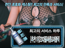 오피스타 | [[추천1위]20대풀싸롱&퍼블릭-하루]