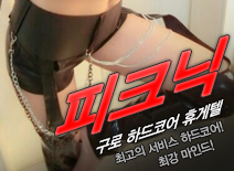오피스타 | [구로휴게텔-피크닉]