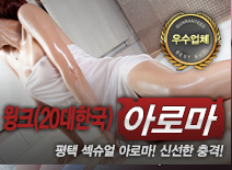 오피스타 | [평택건마-놀이터(20대한국)]