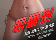 오피스타 | [창동휴게텔-동물원]