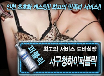 오피스타 | [서구청하이퍼블릭-도비실장]
