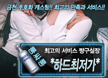 오피스타 | [*하드최저가*-짱구실장]