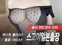 오피스타 | [용산출장-스고이일본출장]
