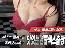 오피스타 | [구로출장-맛있는년들섹스출장]