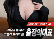 오피스타 | [부평출장-출장의대표]