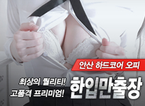 오피스타 | [안산출장-한입만출장]